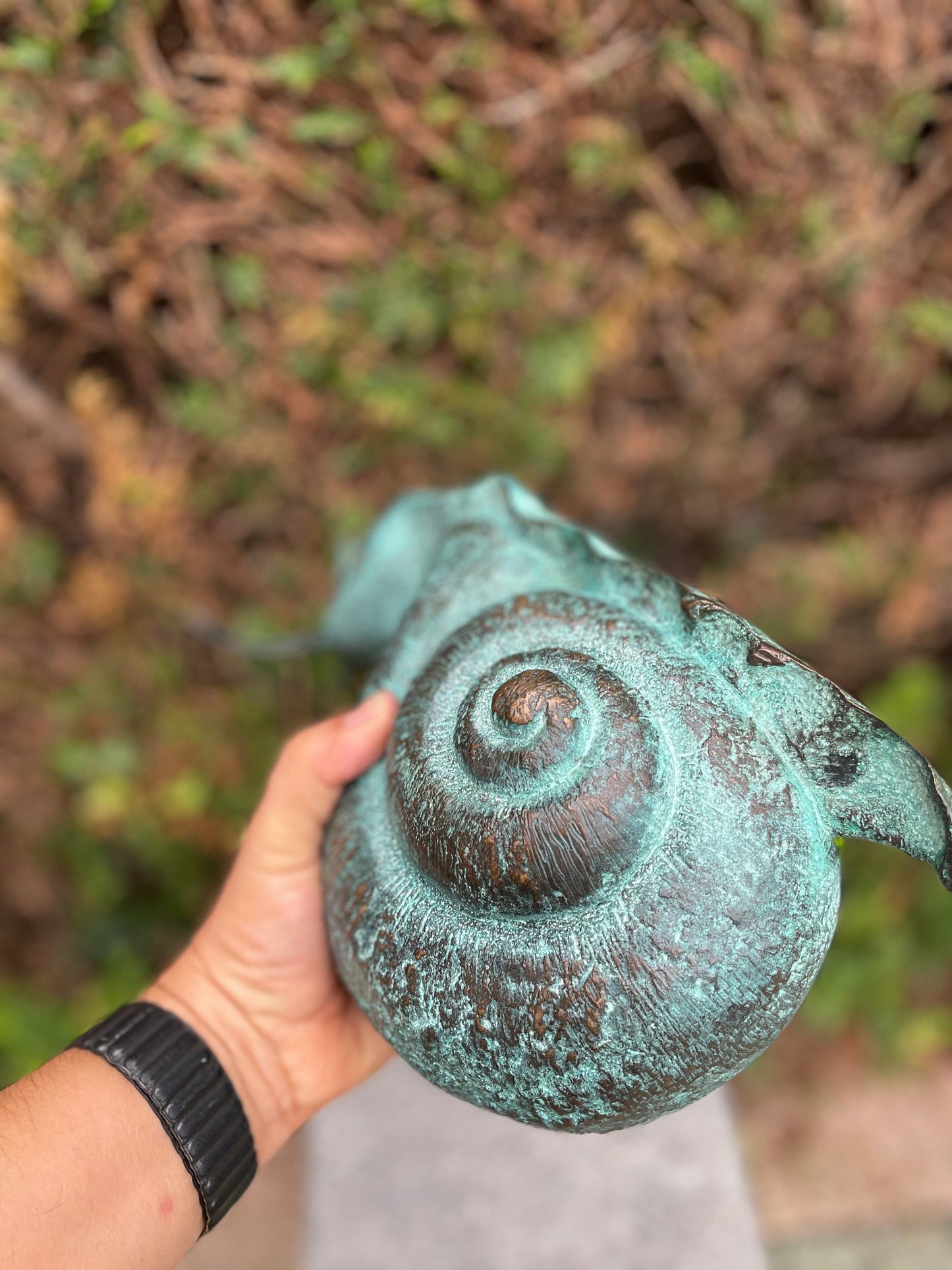 Curious Snail – Bronze Sculpture. 23x13x47cm - 2.5Kg