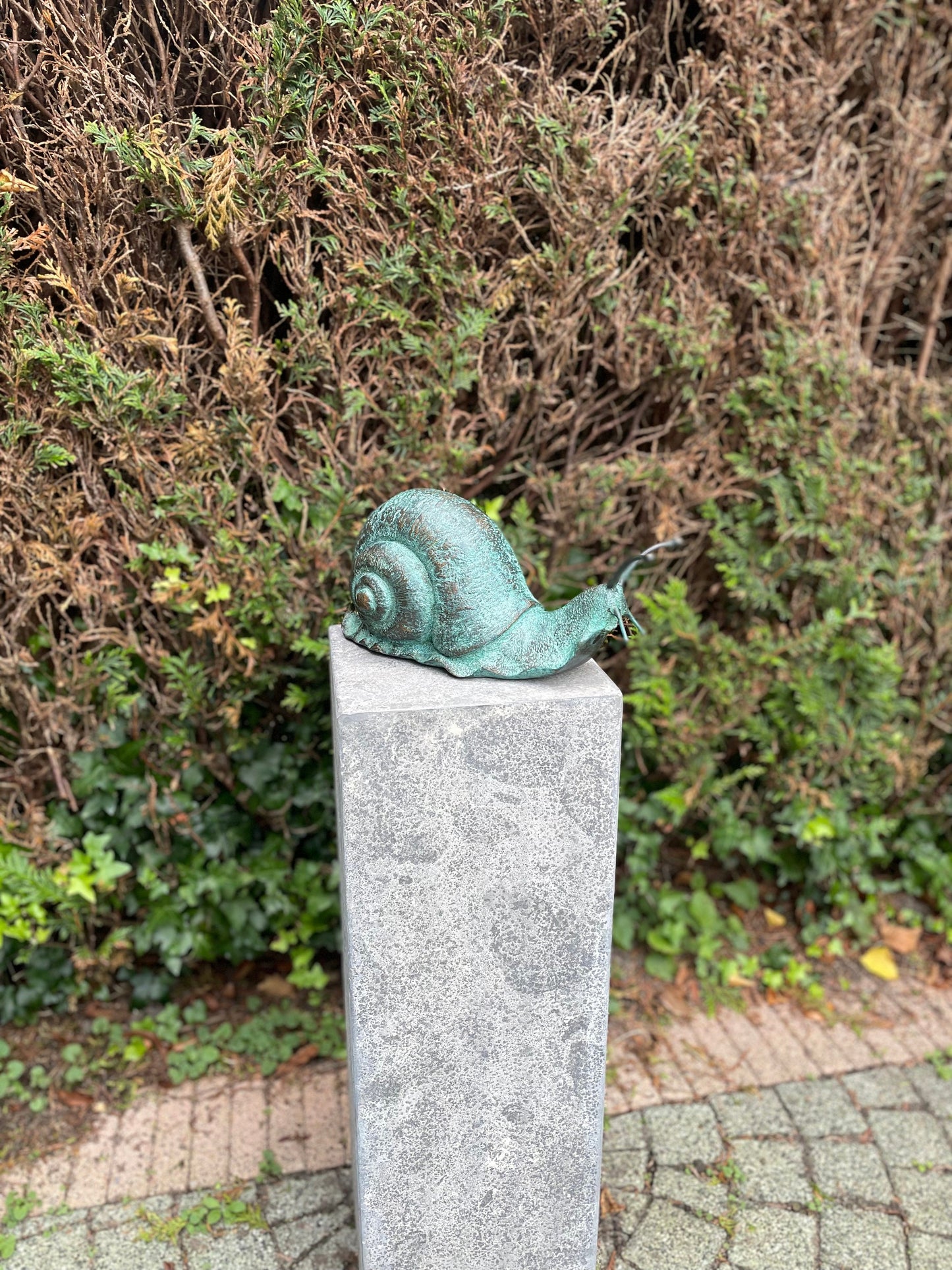 Curious Snail – Bronze Sculpture. 23x13x47cm - 2.5Kg
