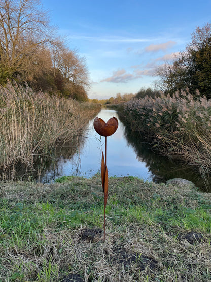 Rust Tulip – Iron Sculpture. 55x1x160cm