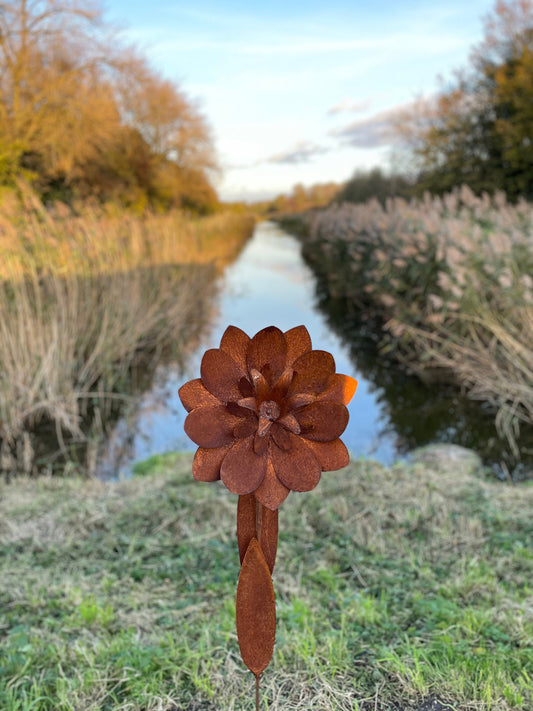 Garden Bloom – Iron Sculpture. 55x1x160cm