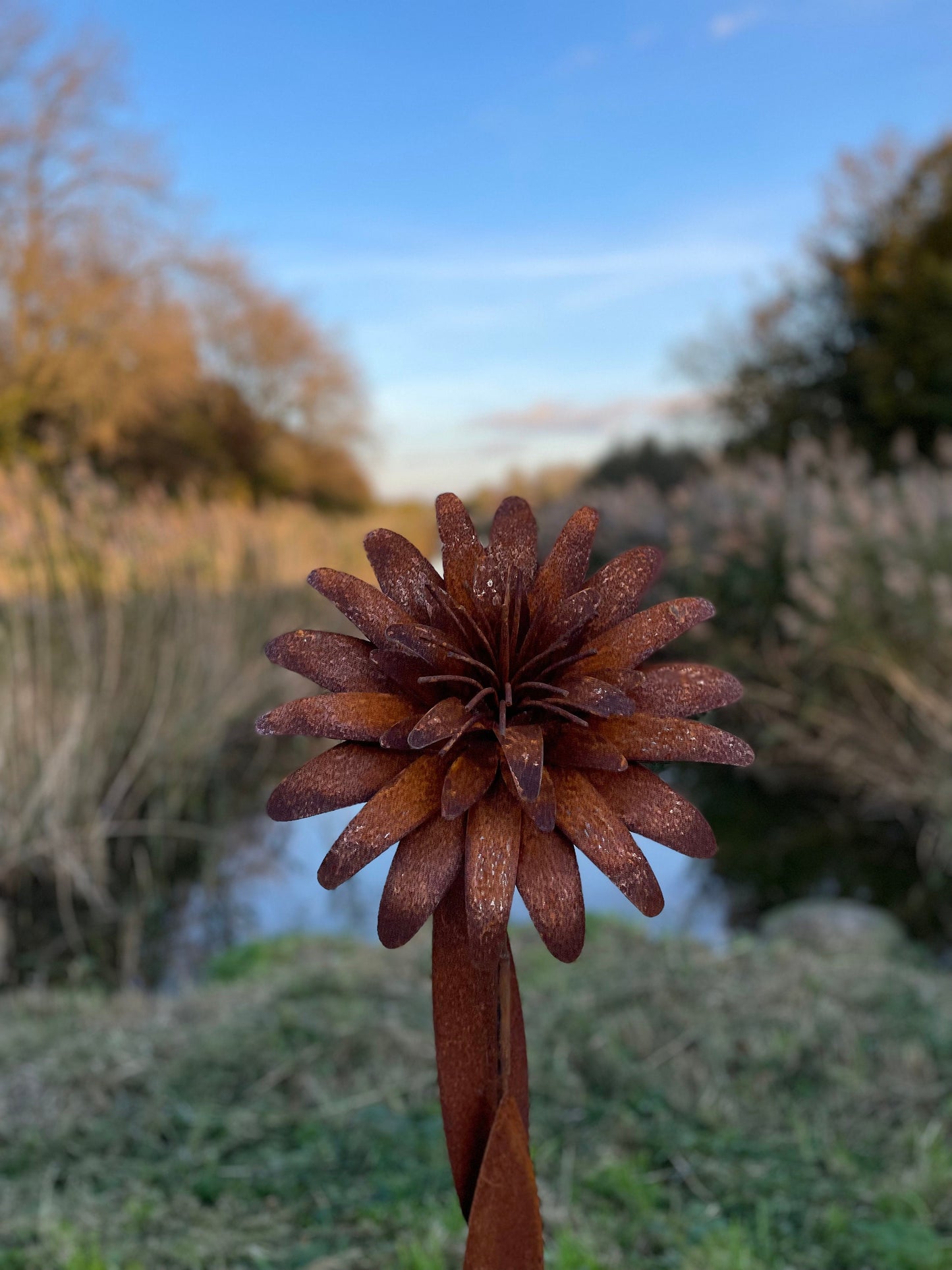 Tall Garden Flower – Iron Sculpture. 160cm height
