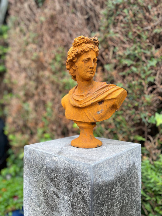 Apollo Bust – Iron Sculpture. 31x32x14cm