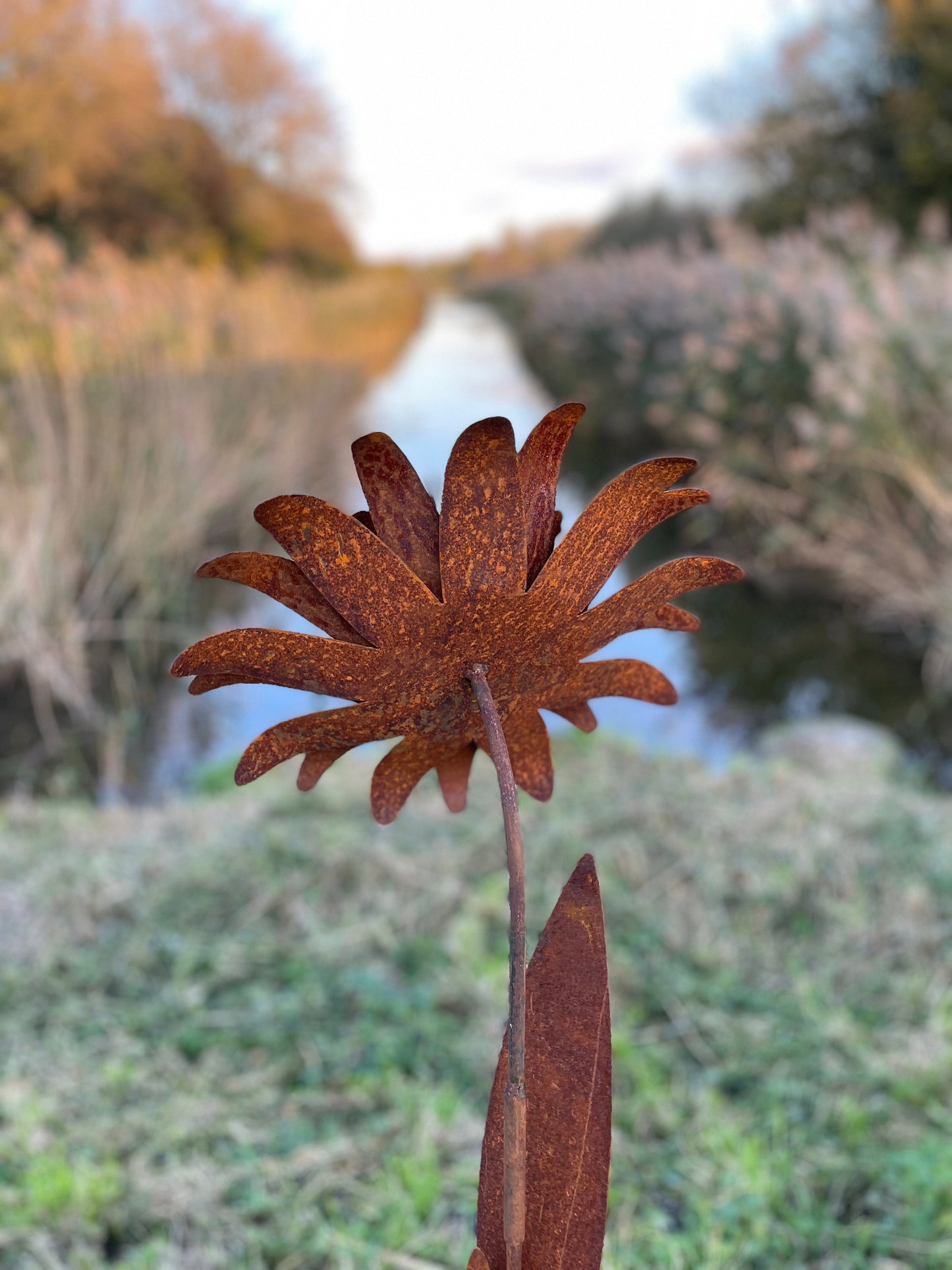 Tall Garden Flower – Iron Sculpture. 160cm height
