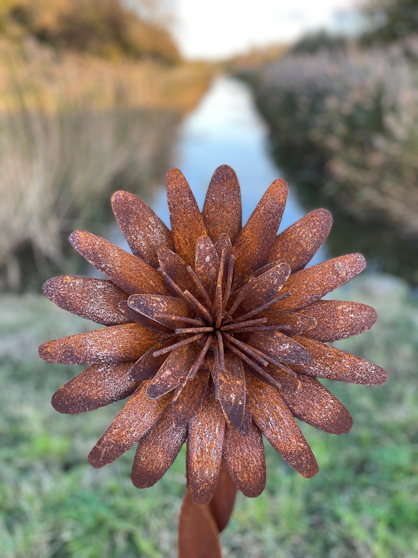 Tall Garden Flower – Iron Sculpture. 160cm height