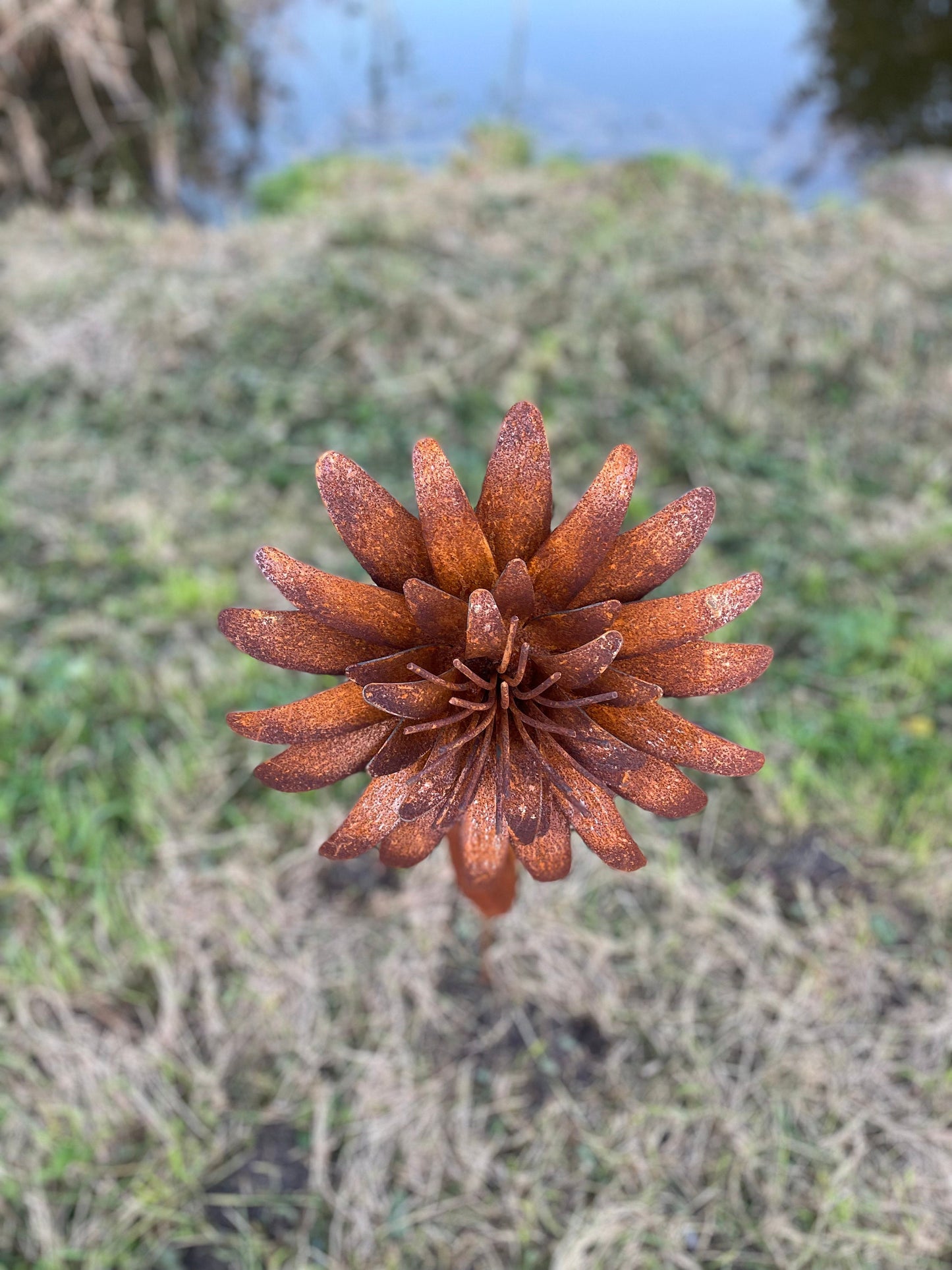 Tall Garden Flower – Iron Sculpture. 160cm height