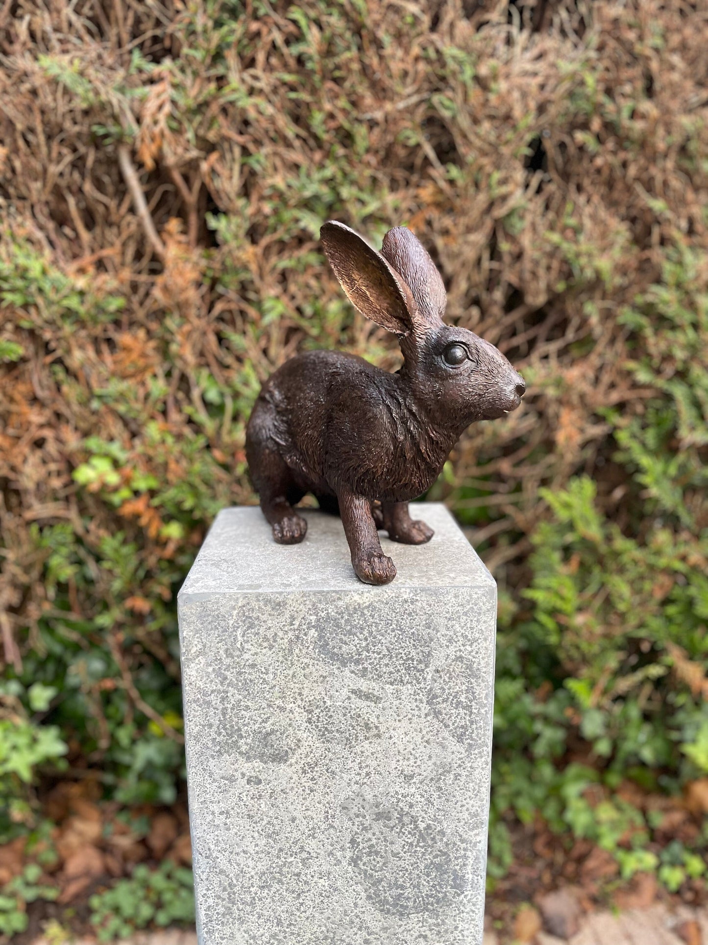 Alert Rabbit – Bronze Sculpture. 34x16x28cm - 4Kg