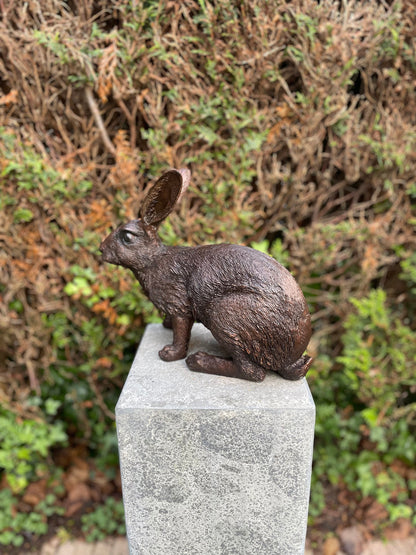 Alert Rabbit – Bronze Sculpture. 34x16x28cm - 4Kg