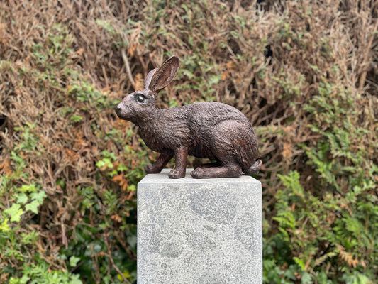 Alert Rabbit – Bronze Sculpture. 34x16x28cm - 4Kg