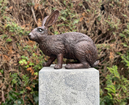 Alert Rabbit – Bronze Sculpture. 34x16x28cm - 4Kg