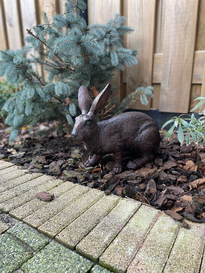 Alert Rabbit – Bronze Sculpture. 34x16x28cm - 4Kg
