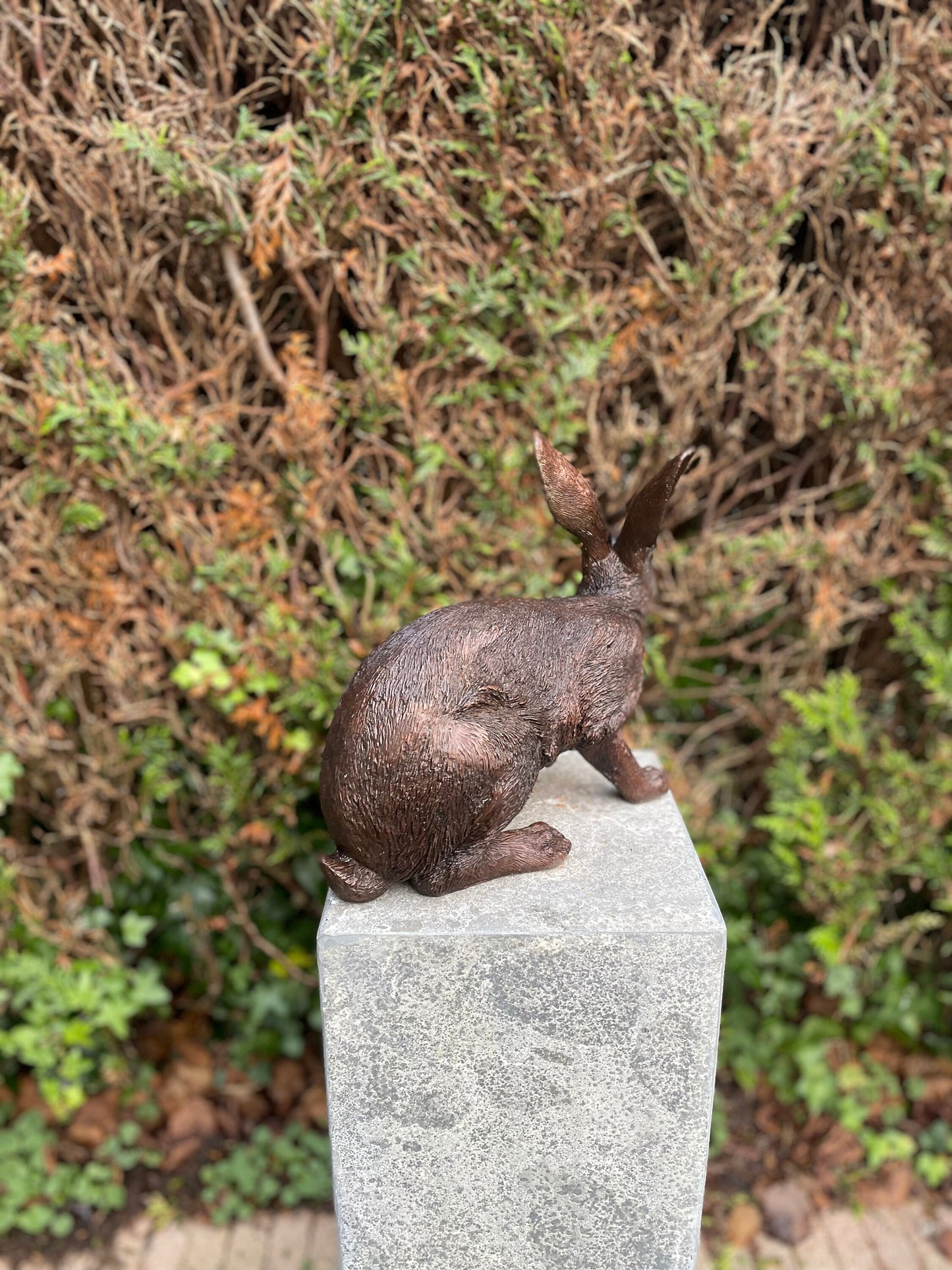 Alert Rabbit – Bronze Sculpture. 34x16x28cm - 4Kg