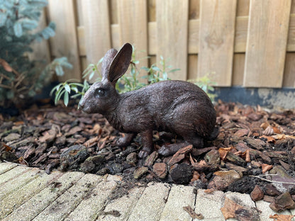 Alert Rabbit – Bronze Sculpture. 34x16x28cm - 4Kg