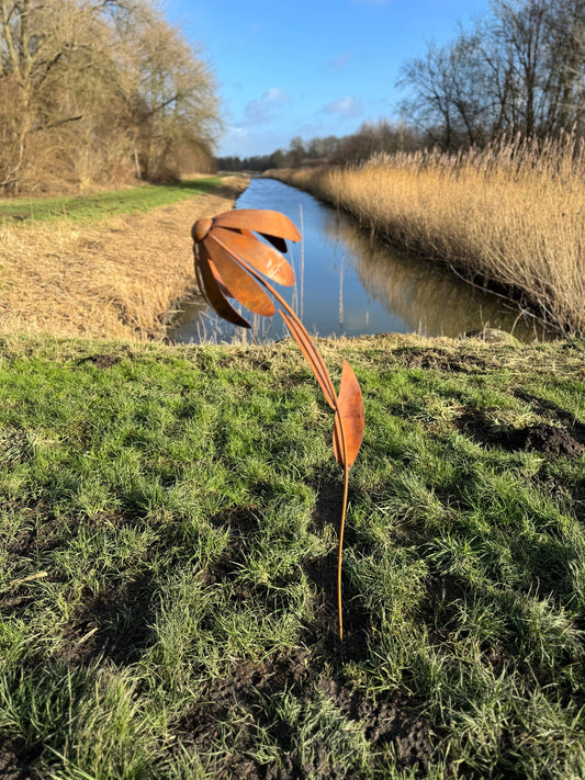 Wild Daisy – Iron Sculpture. 25x25x125cm