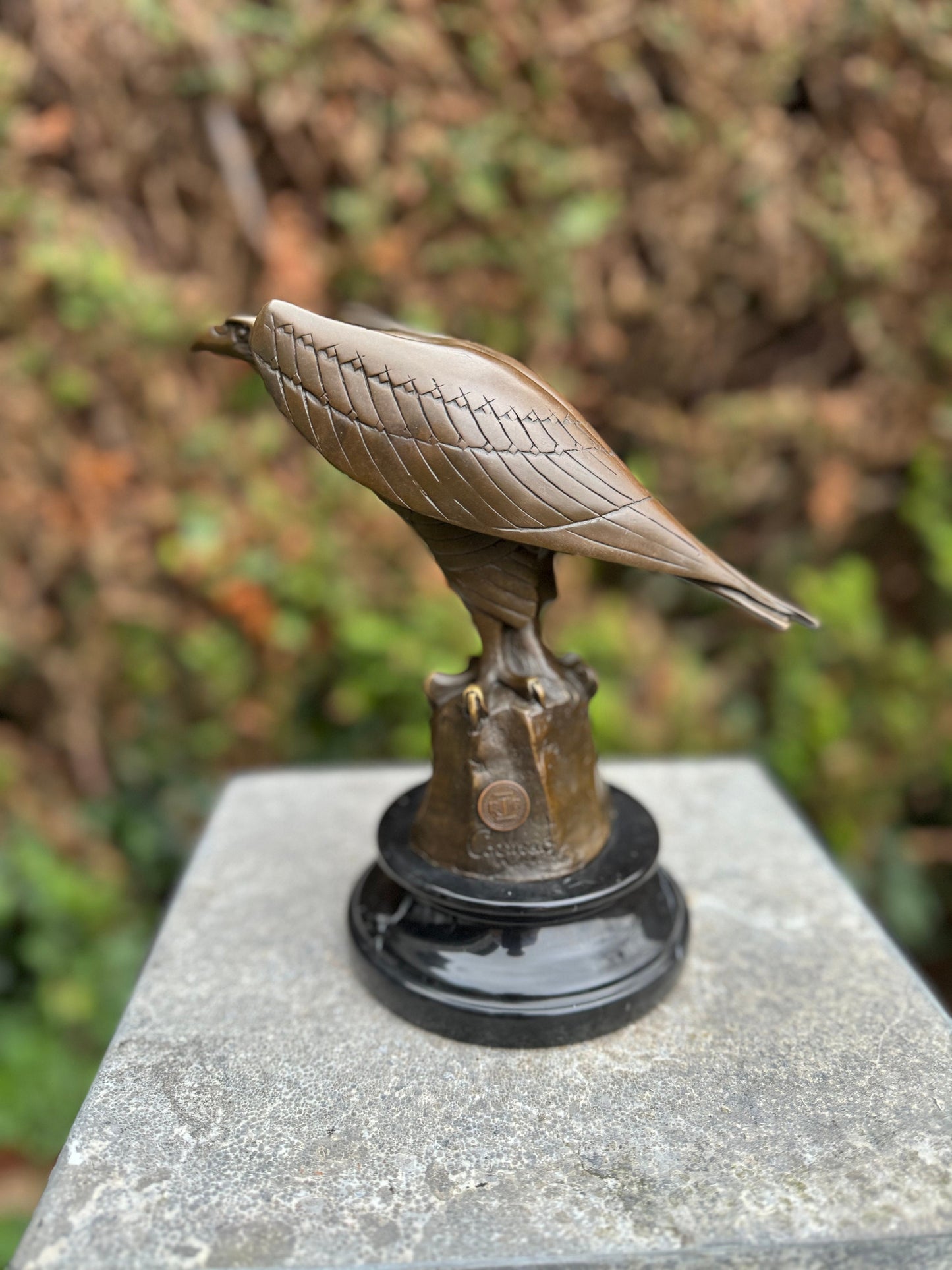 Sharp-Eyed Eagle – Bronze Sculpture. 20x12x21cm - 2Kg