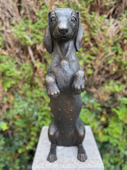 Begging Dachshund – Bronze Sculpture. 24x16x52cm - 7.4Kg