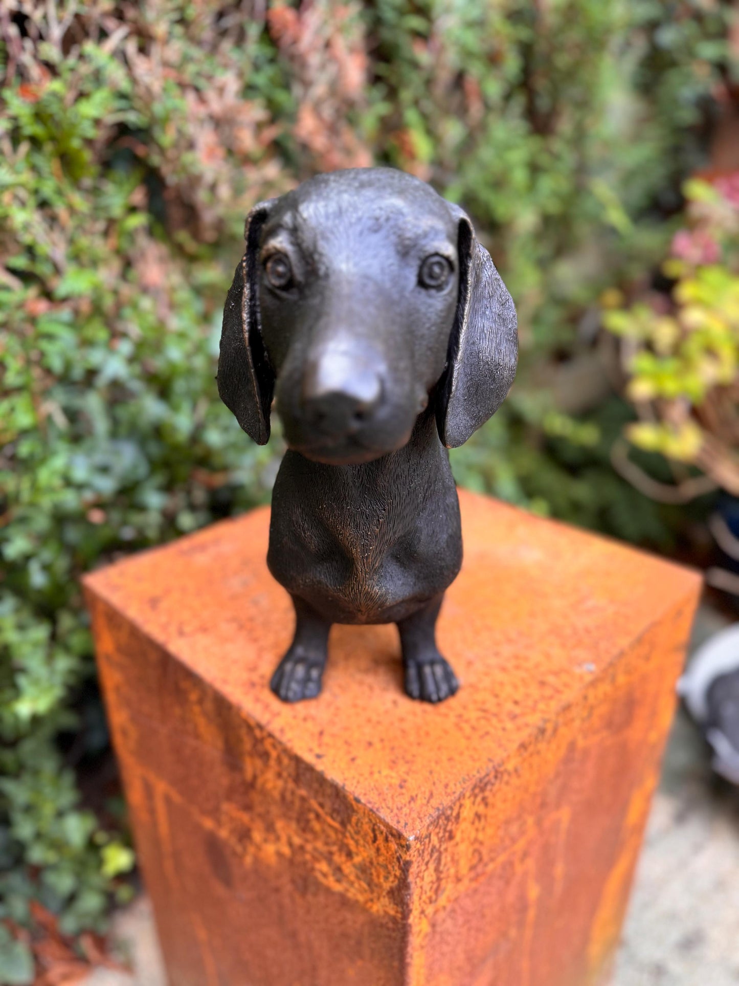 Standing Dachshund – Bronze Sculpture. 69x17x33cm - 7.4Kg