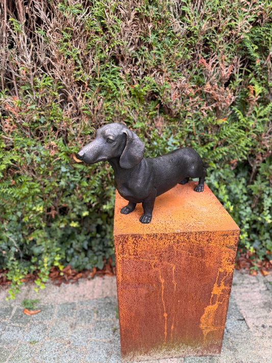 Standing Dachshund – Bronze Sculpture. 69x17x33cm - 7.4Kg