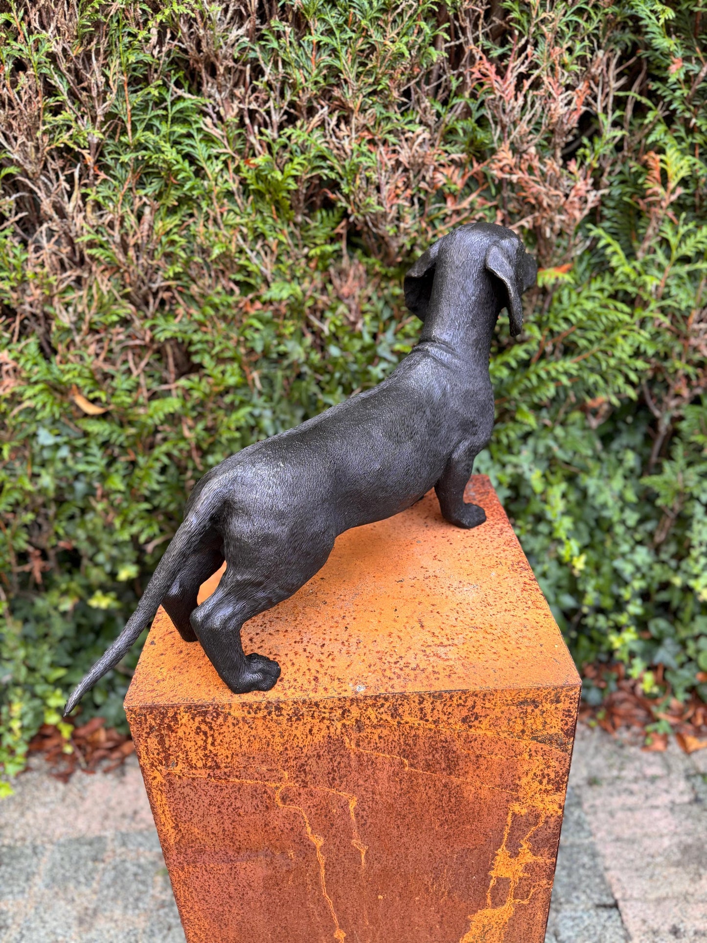 Standing Dachshund – Bronze Sculpture. 69x17x33cm - 7.4Kg