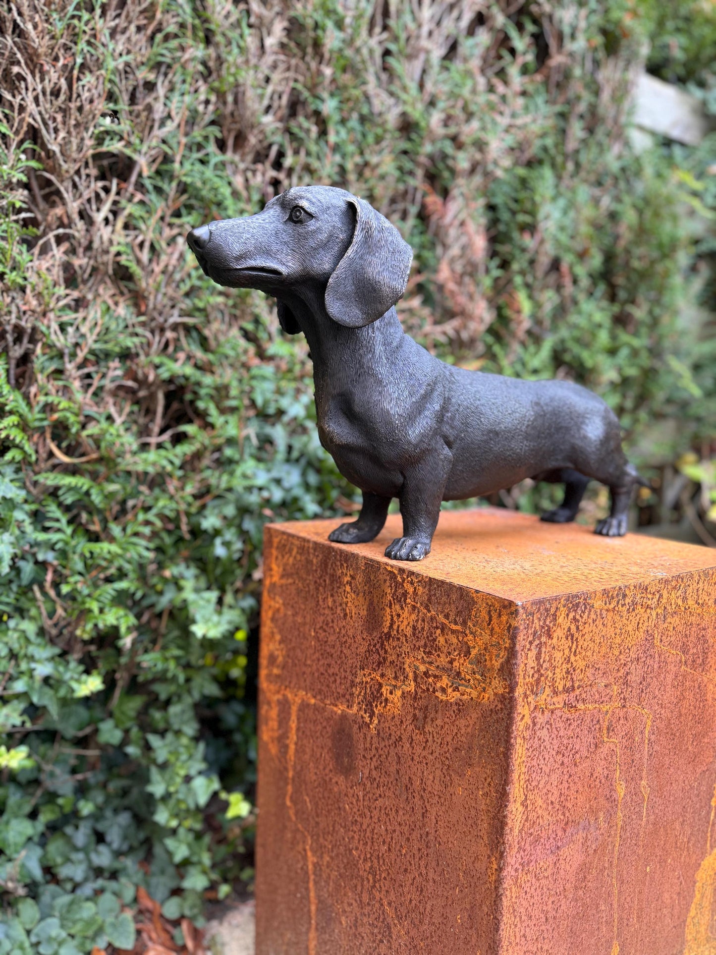 Standing Dachshund – Bronze Sculpture. 69x17x33cm - 7.4Kg