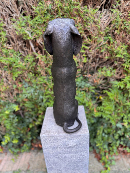 Begging Dachshund – Bronze Sculpture. 24x16x52cm - 7.4Kg