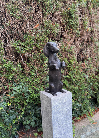 Begging Dachshund – Bronze Sculpture. 24x16x52cm - 7.4Kg