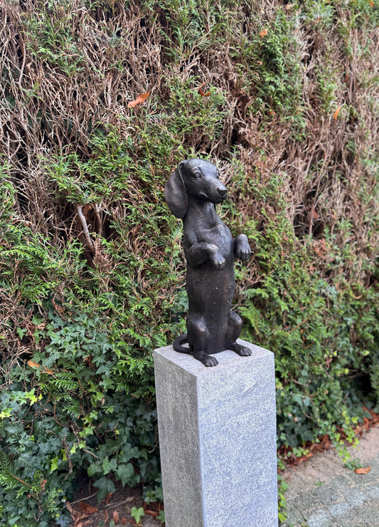 Begging Dachshund – Bronze Sculpture. 24x16x52cm - 7.4Kg