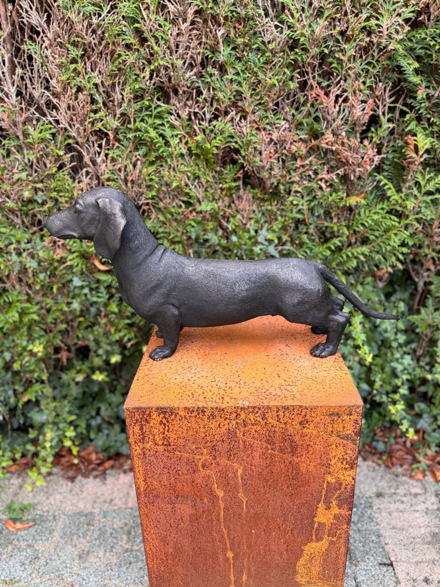 Standing Dachshund – Bronze Sculpture. 69x17x33cm - 7.4Kg