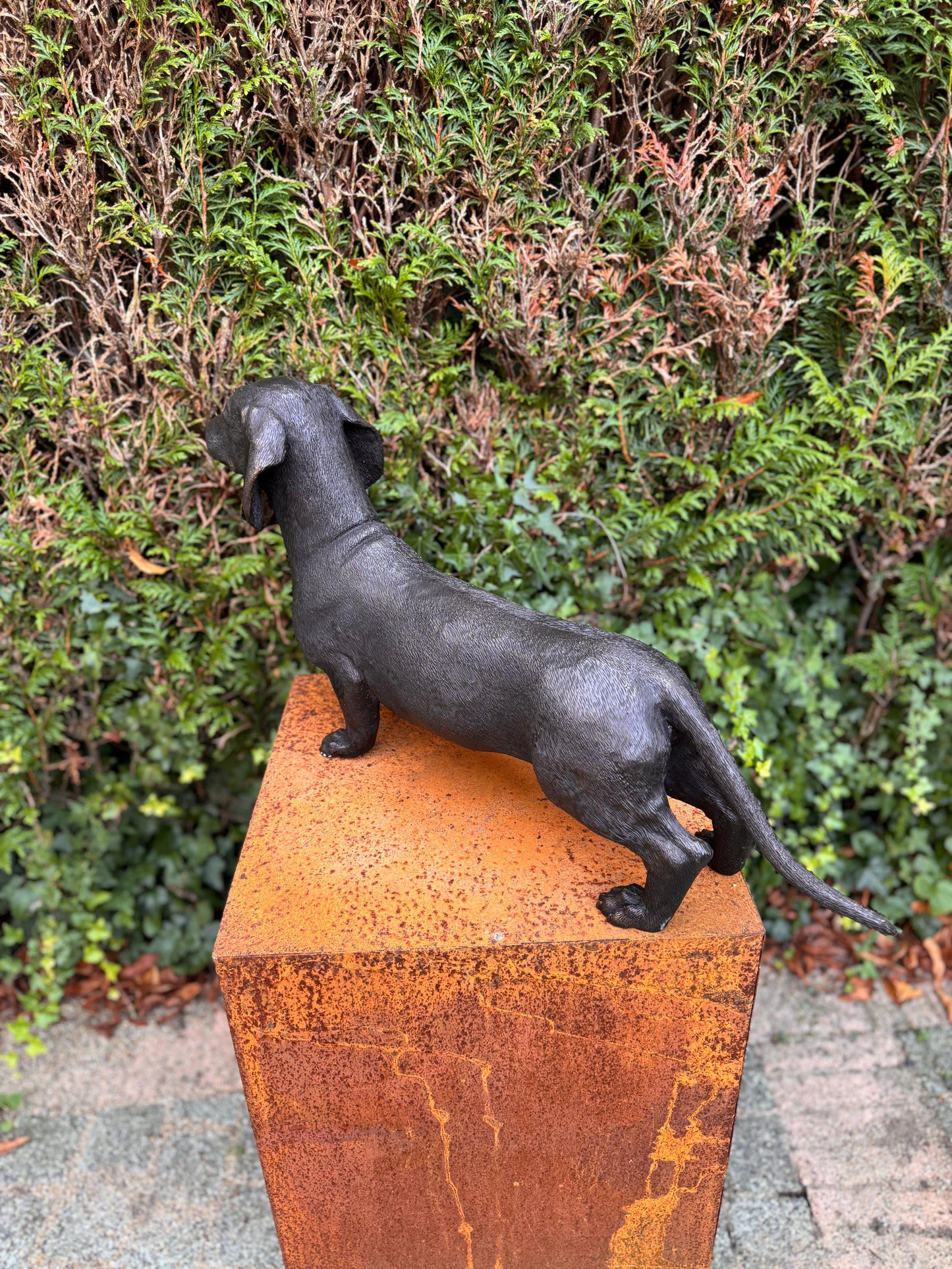 Standing Dachshund – Bronze Sculpture. 69x17x33cm - 7.4Kg