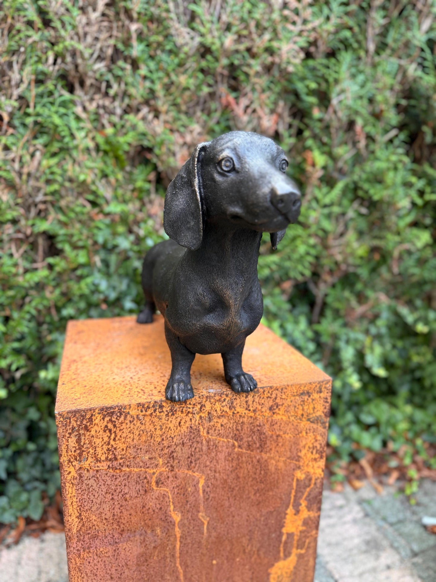 Standing Dachshund – Bronze Sculpture. 69x17x33cm - 7.4Kg