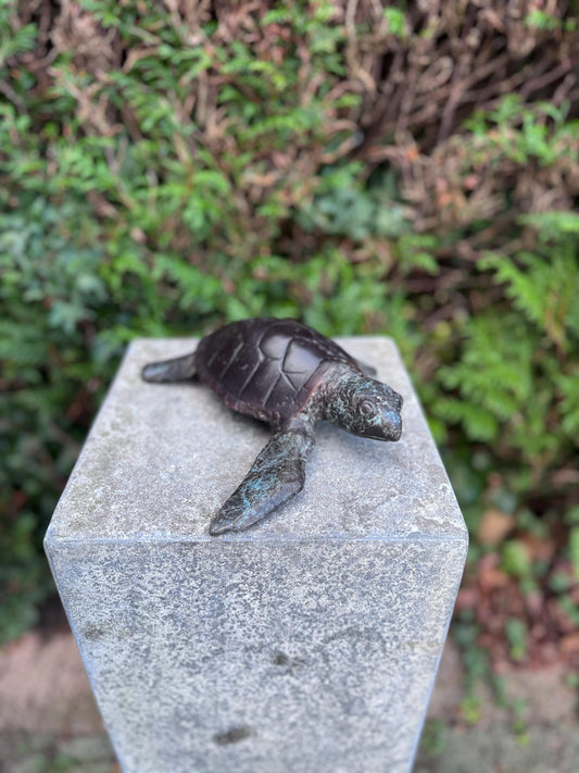 Sea Turtle – Bronze Sculpture. 6x22x23cm - 1.5Kg