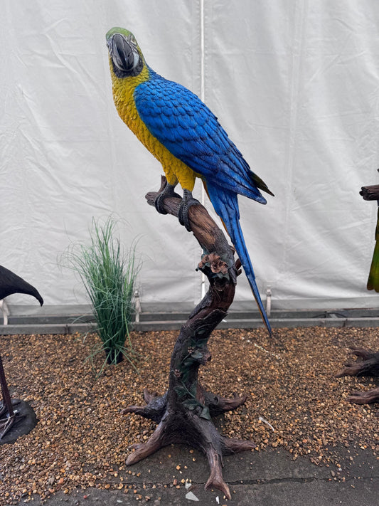 Blue Macaw on Branch – Bronze Sculpture. 70x70x168cm - 15Kg