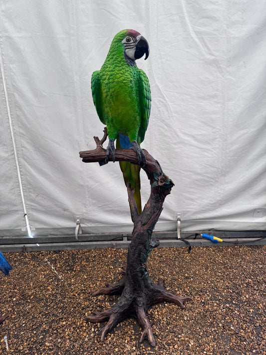 Green Macaw on Branch – Bronze Sculpture. 70x70x168cm - 15Kg