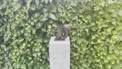 Bronze squirrel - 22x17x21cm