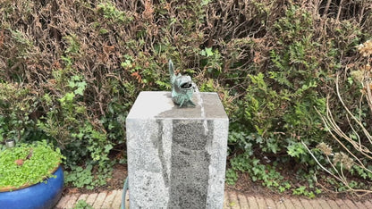 Fonte de um Peixe de Bronze - Estátua de jardim - Decoração de jardim - Lagoa