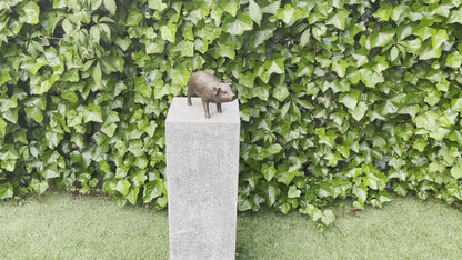 Bronze Pig -15x8x12cm