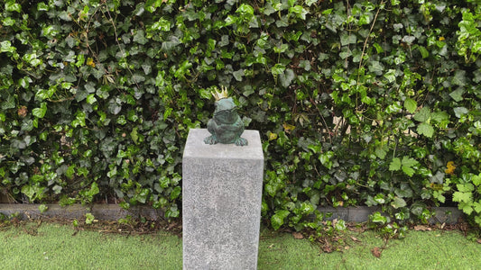 Frog King – Bronze Sculpture. 13x11x17cm - 1.4Kg