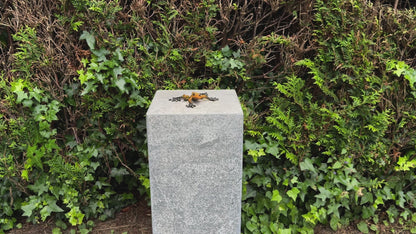 Sapo de Bronze - Estátua de jardim - Decoração de jardim - Lagoa