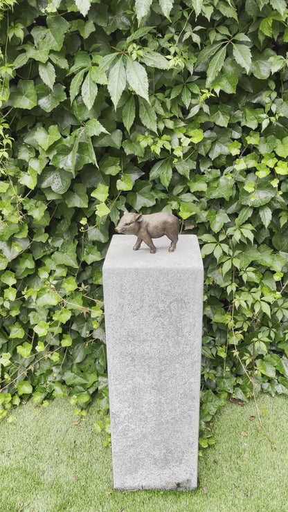 Bronze piglet - 18x16x12cm