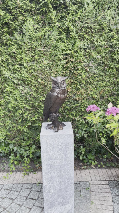 Bronze owl on branch - 20x17x42cm