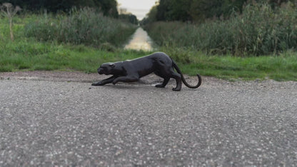 Leopard in Bronze - 90x19x30cm