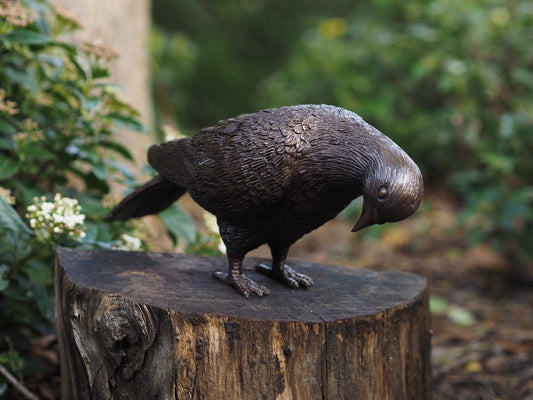 Dove in Bronze 12x10x25cm