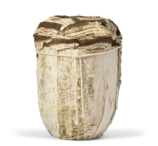 Betula schors urn