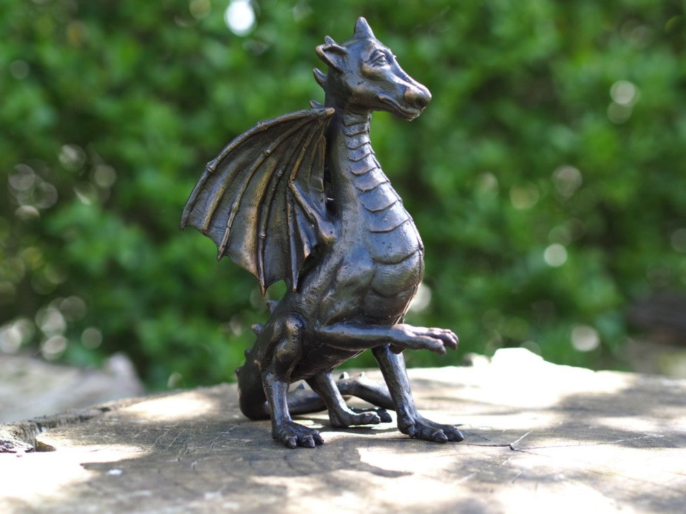 Bronze Dragon 22x13x12cm