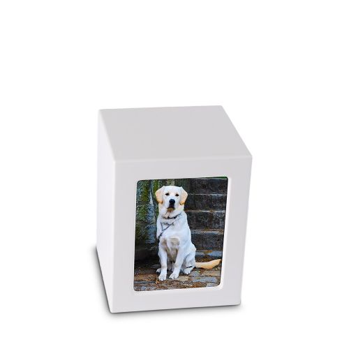 <transcy>Urn MDF photo frame in different sizes</transcy>