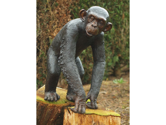 Bronze Monkey 77x38x55cm