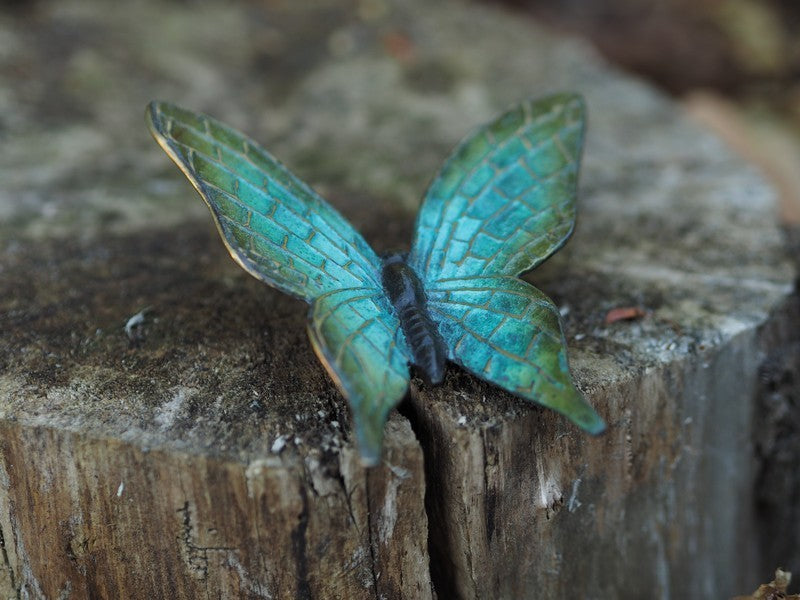 Bronze butterfly 3x12x14cm