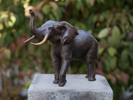 Bronzen Olifant 29x14x37cm