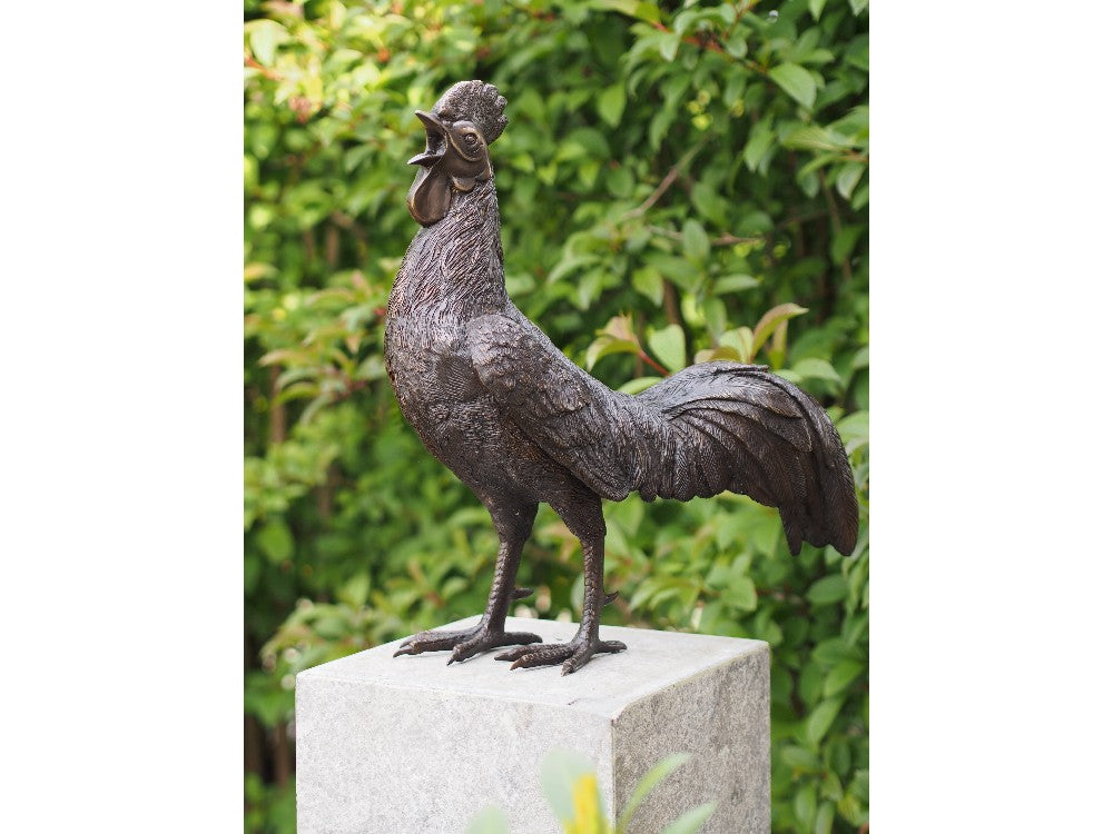 Bronzen Haan 50x25x53cm