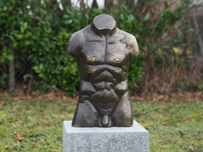 Male Torso