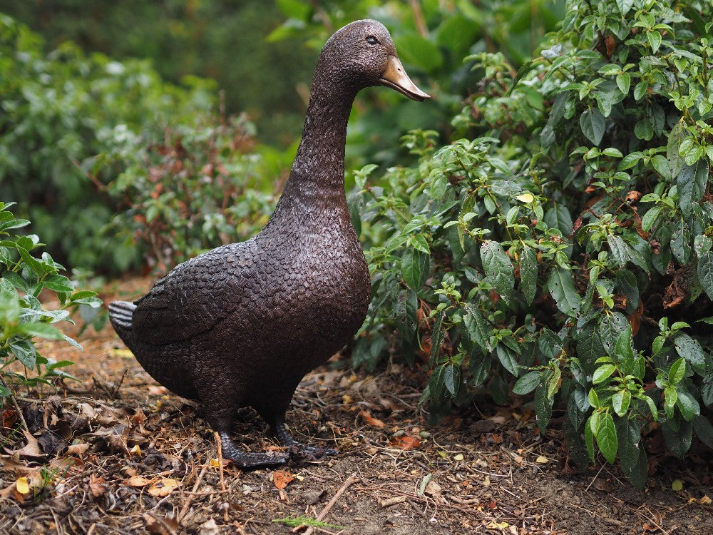 Duck in Bronze 48x19x50cm